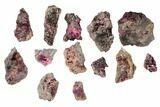 Lot: Erythrite Crystal Specimens - Morocco #104250-1